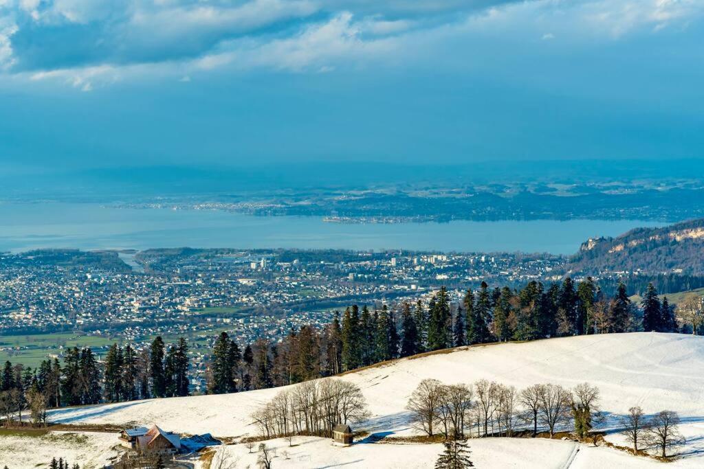 Seeparkvilla - Wohlfuehlen Am See Und Im Gruenen Brégence Extérieur photo